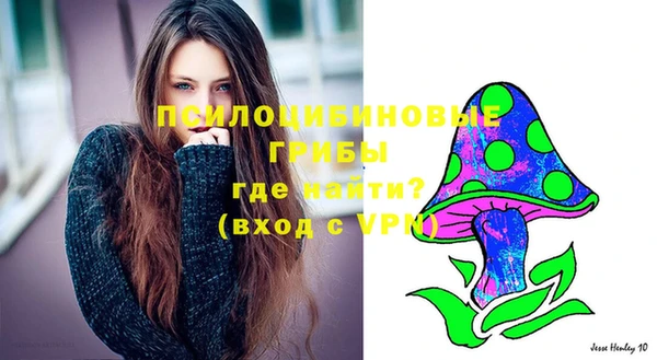 таблы Ельня
